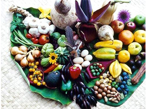 農產品溯源系統具有哪些優勢？